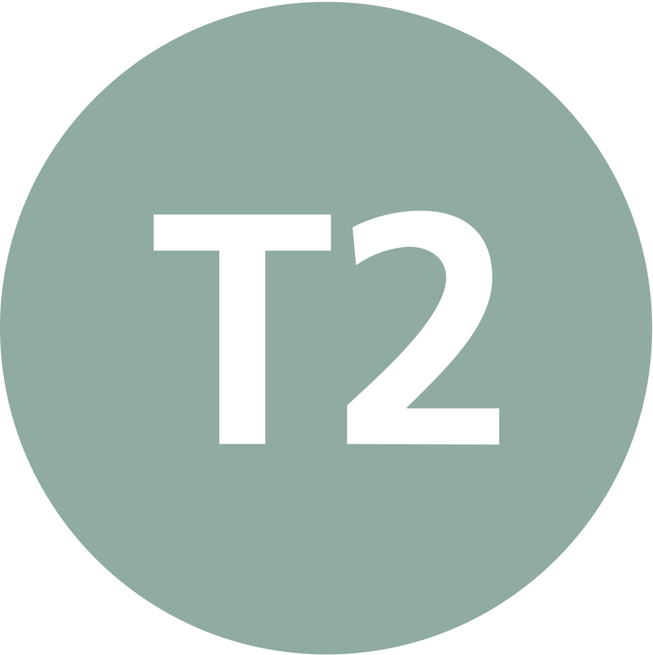 T2