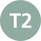 T2